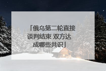 俄乌第二轮直接谈判结束 双方达成哪些共识