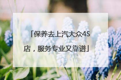 保养去上汽大众4S店，服务专业又靠谱