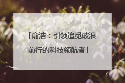 俞浩：引领追觅破浪前行的科技领航者