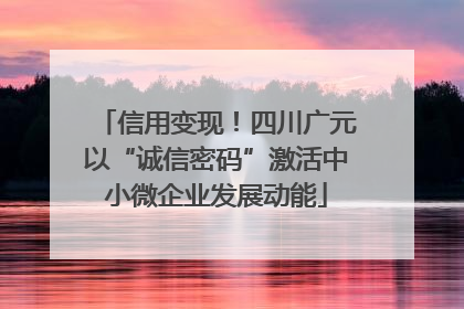 信用变现！四川广元以“诚信密码”激活中小微企业发展动能