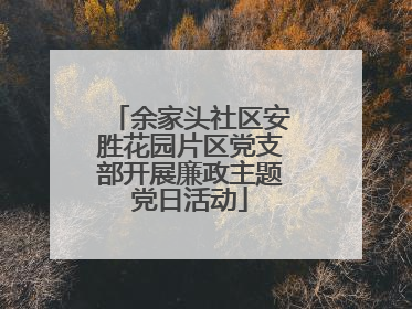 余家头社区安胜花园片区党支部开展廉政主题党日活动