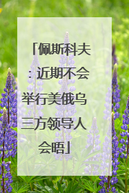 佩斯科夫：近期不会举行美俄乌三方领导人会晤
