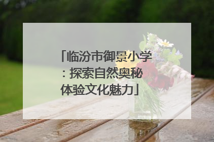 临汾市御景小学：探索自然奥秘 体验文化魅力