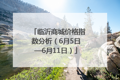 临沂商城价格指数分析（6月5日—6月11日）