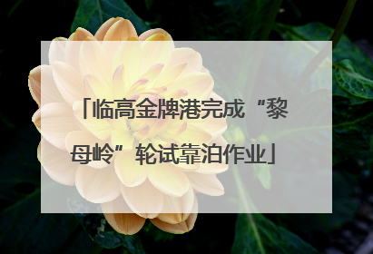 临高金牌港完成“黎母岭”轮试靠泊作业