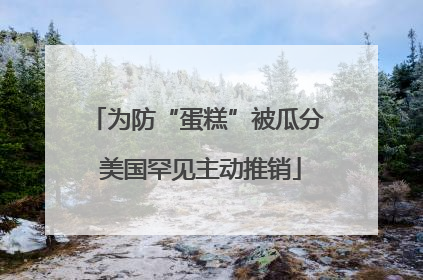 为防“蛋糕”被瓜分 美国罕见主动推销