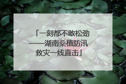 一刻都不敢松劲——湖南桑植防汛救灾一线直击