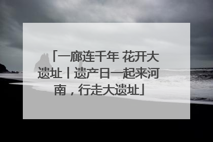 一廊连千年 花开大遗址丨遗产日一起来河南，行走大遗址
