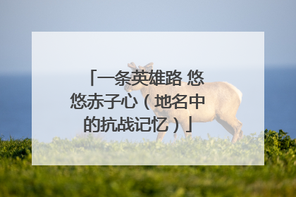 一条英雄路 悠悠赤子心（地名中的抗战记忆）
