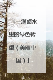 一滴卤水里的绿色转型（美丽中国）