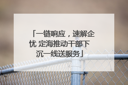 一链响应，速解企忧 定海推动干部下沉一线送服务