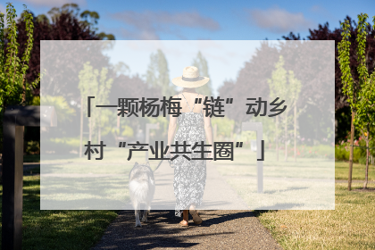 一颗杨梅“链”动乡村“产业共生圈”