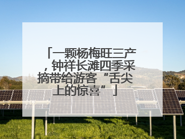 一颗杨梅旺三产，钟祥长滩四季采摘带给游客“舌尖上的惊喜”
