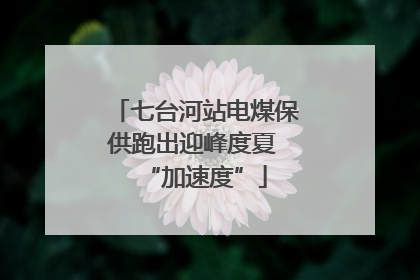 七台河站电煤保供跑出迎峰度夏 “加速度”