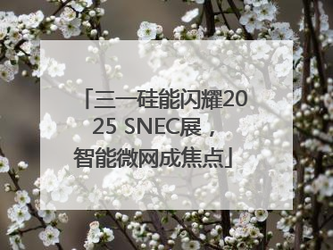 三一硅能闪耀2025 SNEC展，智能微网成焦点