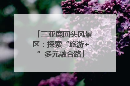三亚鹿回头风景区：探索“旅游+”多元融合路