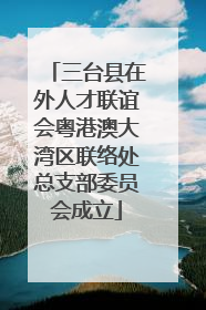 三台县在外人才联谊会粤港澳大湾区联络处总支部委员会成立
