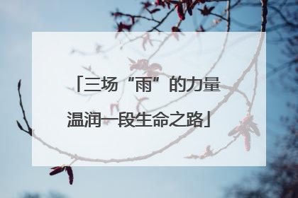 三场“雨”的力量温润一段生命之路