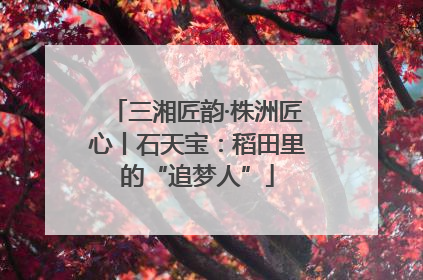 三湘匠韵·株洲匠心丨石天宝：稻田里的“追梦人”