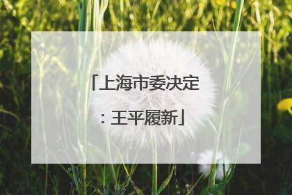 上海市委决定：王平履新