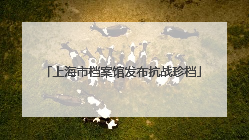 上海市档案馆发布抗战珍档