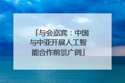 与会嘉宾：中国与中亚开展人工智能合作前景广阔