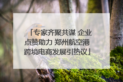 专家齐聚共谋 企业点赞助力 郑州航空港跨境电商发展引热议