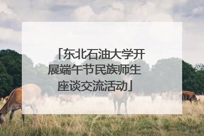 东北石油大学开展端午节民族师生座谈交流活动