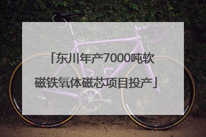 东川年产7000吨软磁铁氧体磁芯项目投产