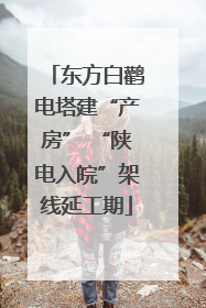 东方白鹳电塔建“产房” “陕电入皖”架线延工期