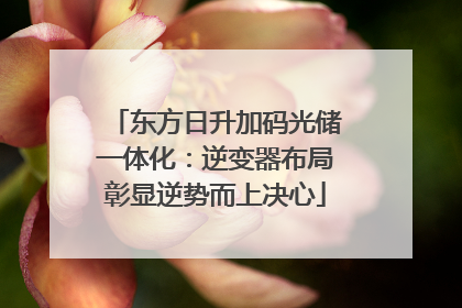 东方日升加码光储一体化：逆变器布局彰显逆势而上决心