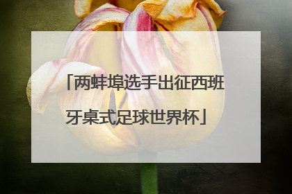 两蚌埠选手出征西班牙桌式足球世界杯