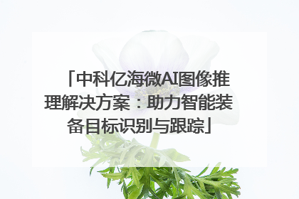 中科亿海微AI图像推理解决方案：助力智能装备目标识别与跟踪