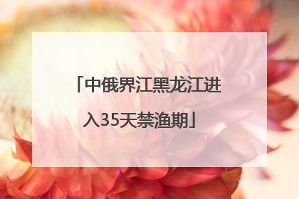 中俄界江黑龙江进入35天禁渔期