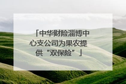 中华财险淄博中心支公司为果农提供“双保险”