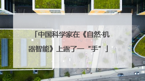 中国科学家在《自然·机器智能》上露了一“手”