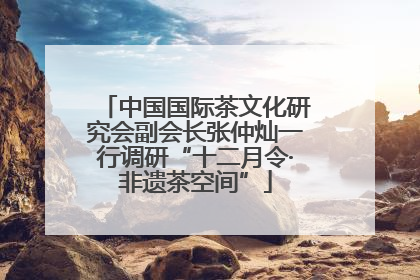 中国国际茶文化研究会副会长张仲灿一行调研“十二月令·非遗茶空间”