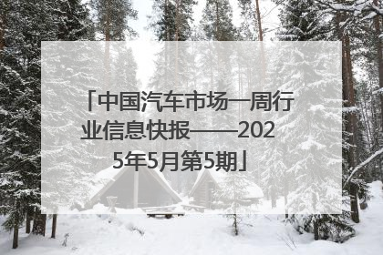 中国汽车市场一周行业信息快报——2025年5月第5期