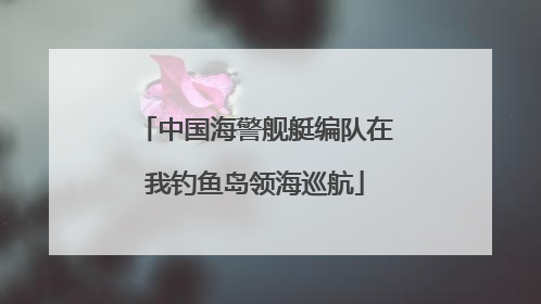 中国海警舰艇编队在我钓鱼岛领海巡航