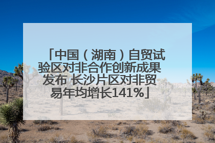 中国（湖南）自贸试验区对非合作创新成果发布 长沙片区对非贸易年均增长141%