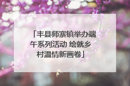 丰县师寨镇举办端午系列活动 绘就乡村温情新画卷