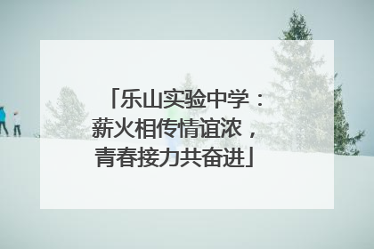 乐山实验中学：薪火相传情谊浓，青春接力共奋进