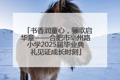 书香润童心，骊歌启华章——合肥市亳州路小学2025届毕业典礼见证成长时刻