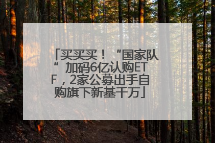 买买买！“国家队”加码6亿认购ETF，2家公募出手自购旗下新基千万