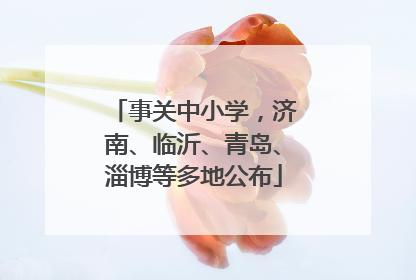事关中小学，济南、临沂、青岛、淄博等多地公布