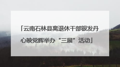 云南石林县离退休干部银发丹心映党辉举办“三展”活动