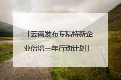 云南发布专精特新企业倍增三年行动计划