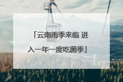 云南雨季来临 进入一年一度吃菌季