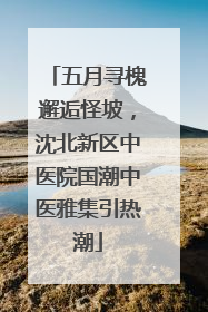 五月寻槐邂逅怪坡，沈北新区中医院国潮中医雅集引热潮