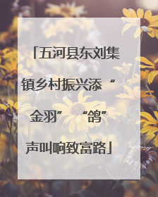 五河县东刘集镇乡村振兴添“金羽” “鸽”声叫响致富路